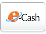 e-Cash循环备用现金